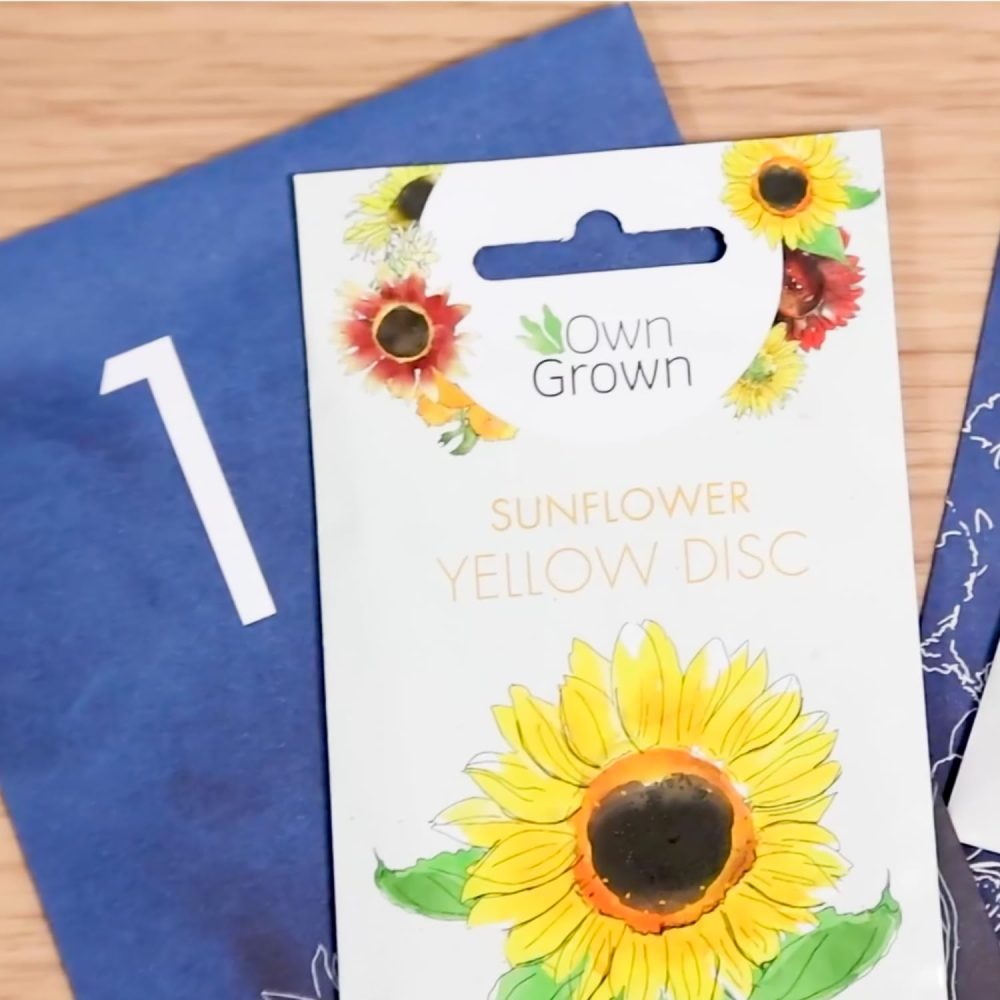 OwnGrown Flower Seeds Advent Calendar for 2024-24 Varieties of Wild Flower Plant Seeds DIY Kit - Garden Gift Decorations - Housewarming Gardening Gifts for Men and Women - Wildflower Organic Seeds - Image 4