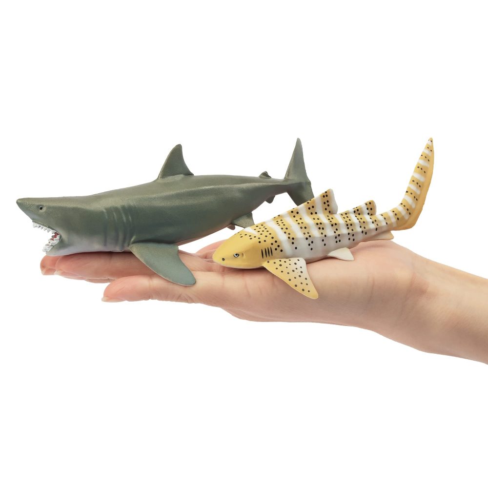 toymany 6PCS 12-14CM Realistic Shark Bath Toy Figurines, Plastic Ocean Sea Animals Figures Set Includes Whale Shark,Tiger Shark,Mako Shark, Cake Toppers Christmas Birthday Gift for Kids Toddlers - Image 5