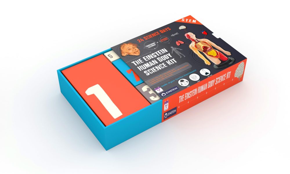Einstein Human Body Science Kit Advent Calendar: 24 days of S.T.E.M science experiments & activities all about the human body. Includes 12’ Human Model with 16 detachable organs and a printed guide - Image 7