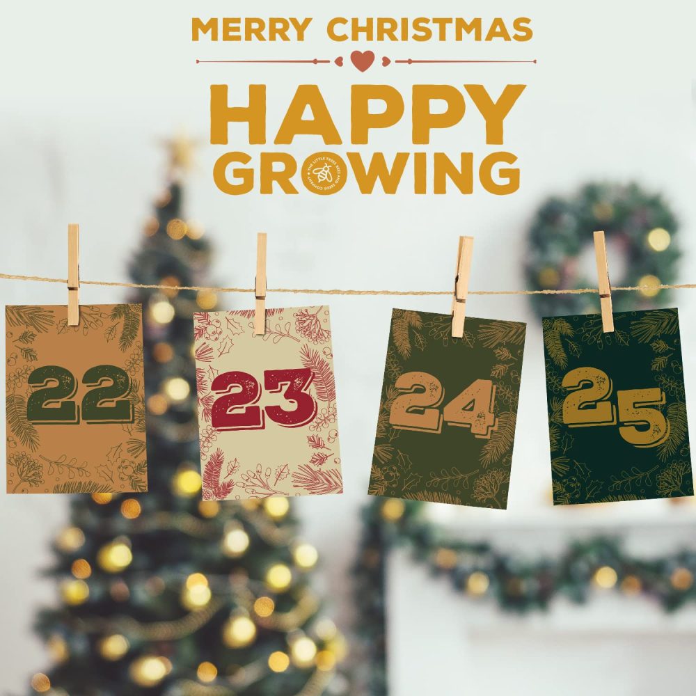 Gardening Gifts Advent Calendar 2024: 25 Premium Vegetable, Salad and Herb Seeds with Twine and Clips for Display, Great for Adults, Kids and the Family - Image 9
