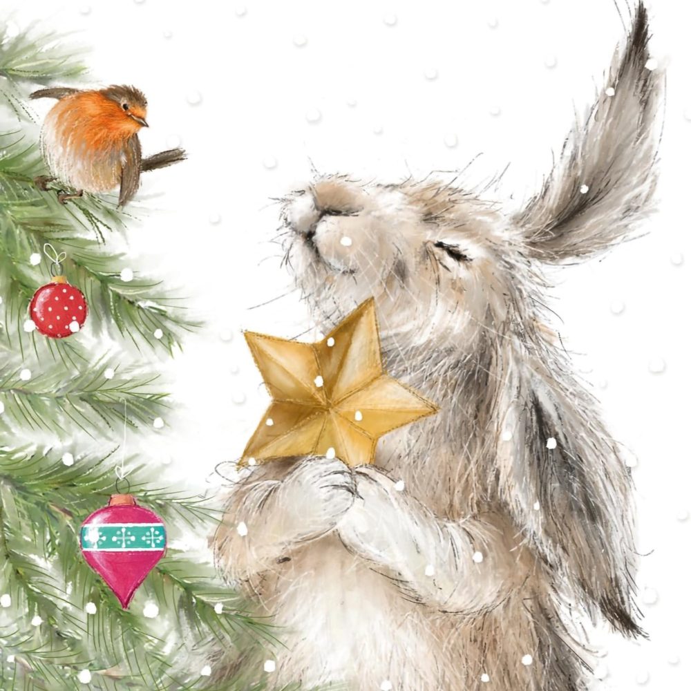 Cancer Research UK Box of 24 Charity Christmas Cards - 2 Designs - Hettie Hare & Timmy Mouse - Image 4