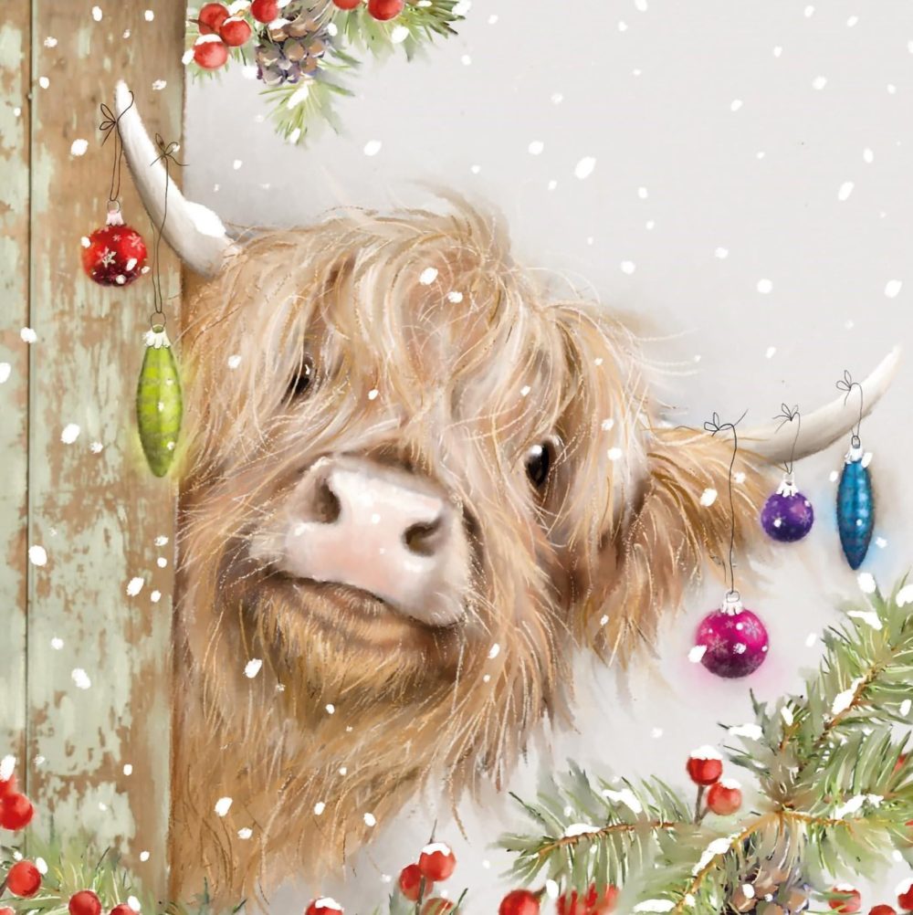 Cancer Research UK Box of 24 Charity Christmas Cards - 2 Designs - Highland Cow & Donkey - Image 4