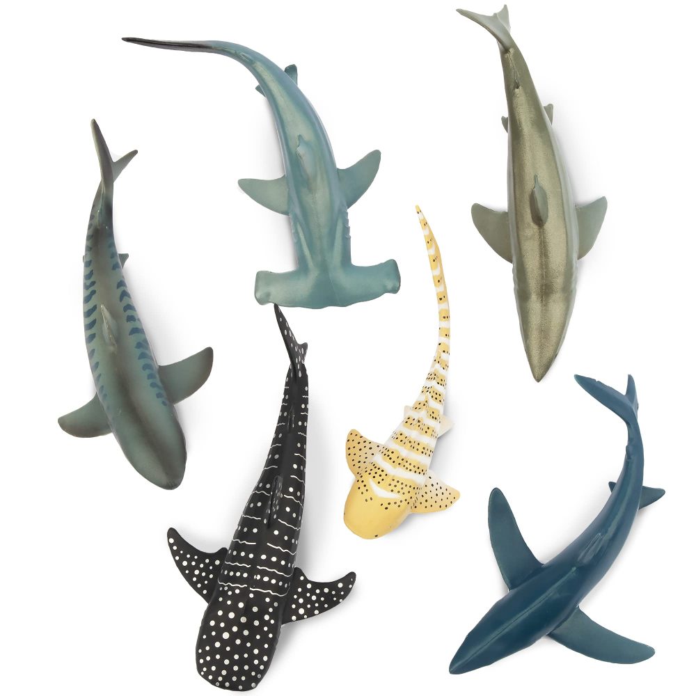 toymany 6PCS 12-14CM Realistic Shark Bath Toy Figurines, Plastic Ocean Sea Animals Figures Set Includes Whale Shark,Tiger Shark,Mako Shark, Cake Toppers Christmas Birthday Gift for Kids Toddlers - Image 9