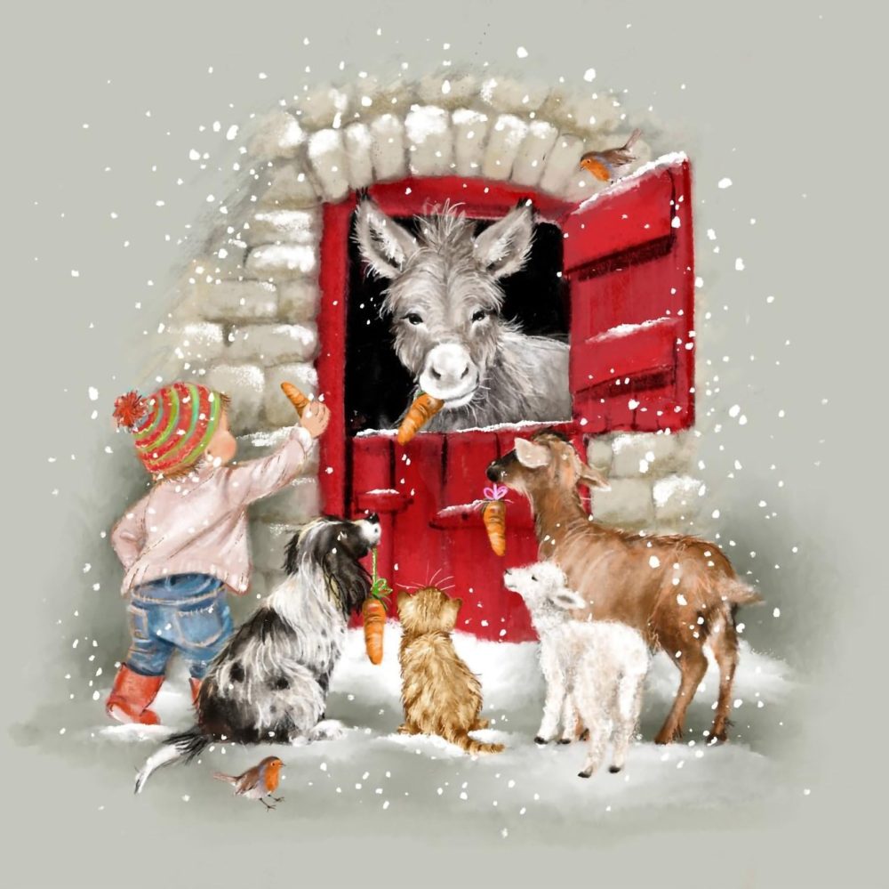 Cancer Research UK Box of 24 Charity Christmas Cards - 2 Designs - Highland Cow & Donkey - Image 5