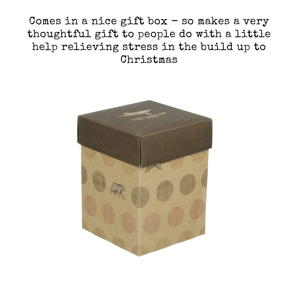 Embracing Mindfulness Mindfulness Advent Calendar - 24 Mindfulness tasks in a jar to help you enjoy and appreciate Christmas even more! - Image 5
