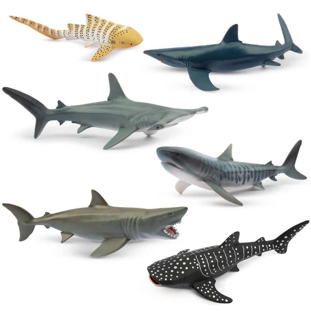 toymany 6PCS 12-14CM Realistic Shark Bath Toy Figurines, Plastic Ocean Sea Animals Figures Set Includes Whale Shark,Tiger Shark,Mako Shark, Cake Toppers Christmas Birthday Gift for Kids Toddlers - Image 2