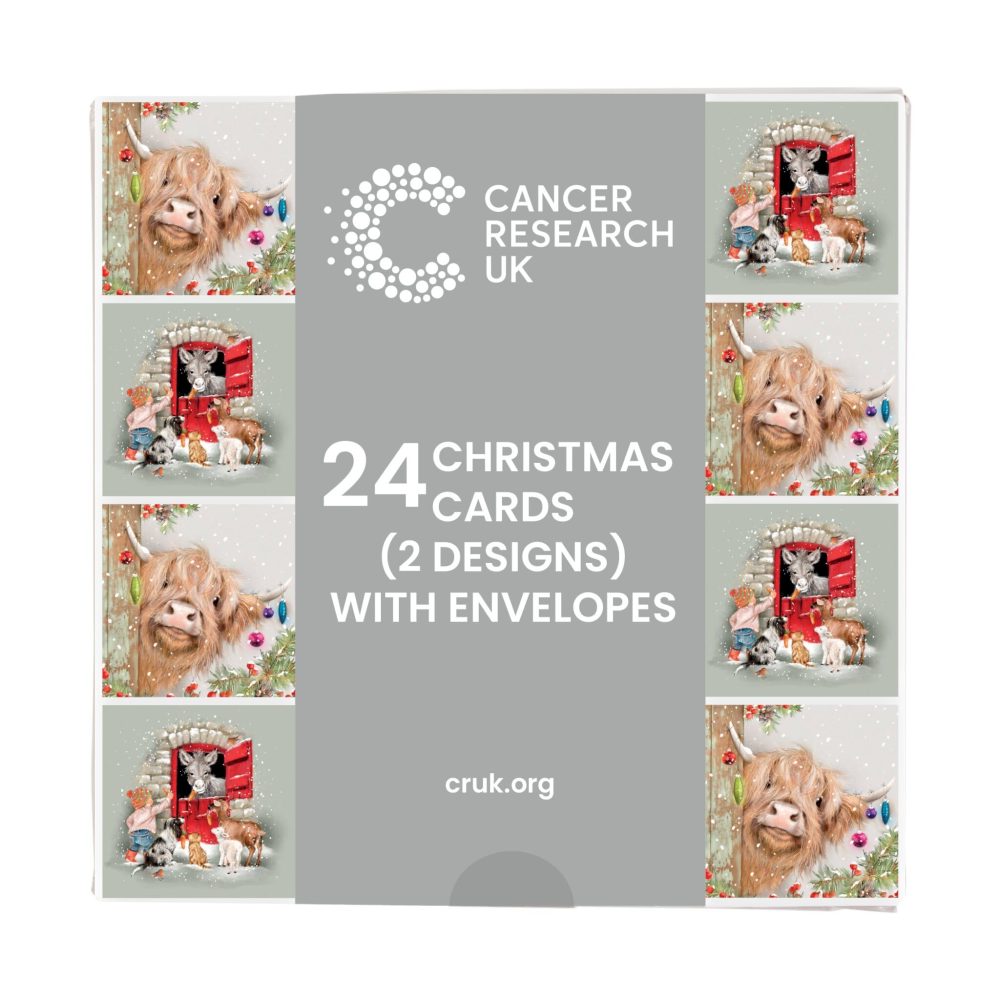 Cancer Research UK Box of 24 Charity Christmas Cards - 2 Designs - Highland Cow & Donkey - Image 2