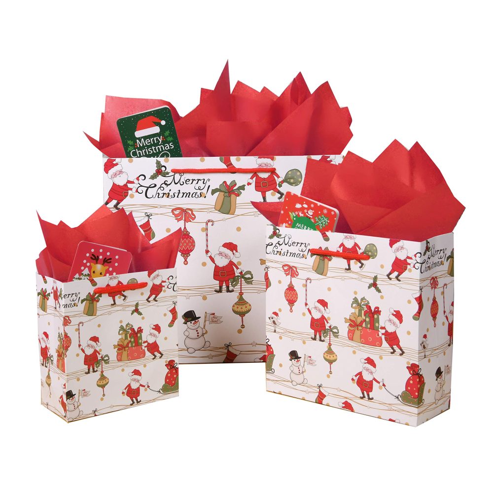 12 Pack Christmas Gift Bags, Santa Bags with Tissue Paper and Greeting Cards Christmas Treat Bags Assorted Sizes