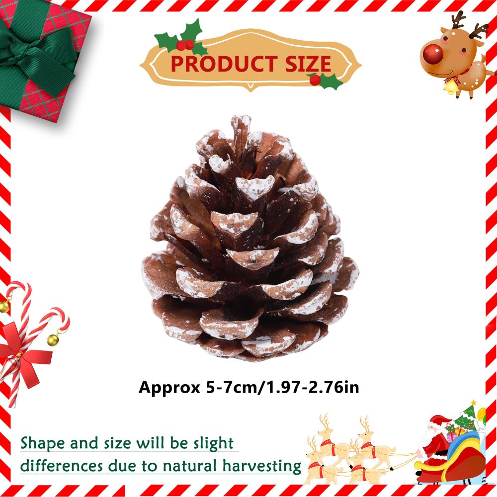 24pcs Christmas Pine Cones, Natural Hanging Snow Pinecones with string, Festival Holiday Ornaments for DIY Crafts Home Xmas Tree Winter Wreath Garland Wedding Decorations - Image 7