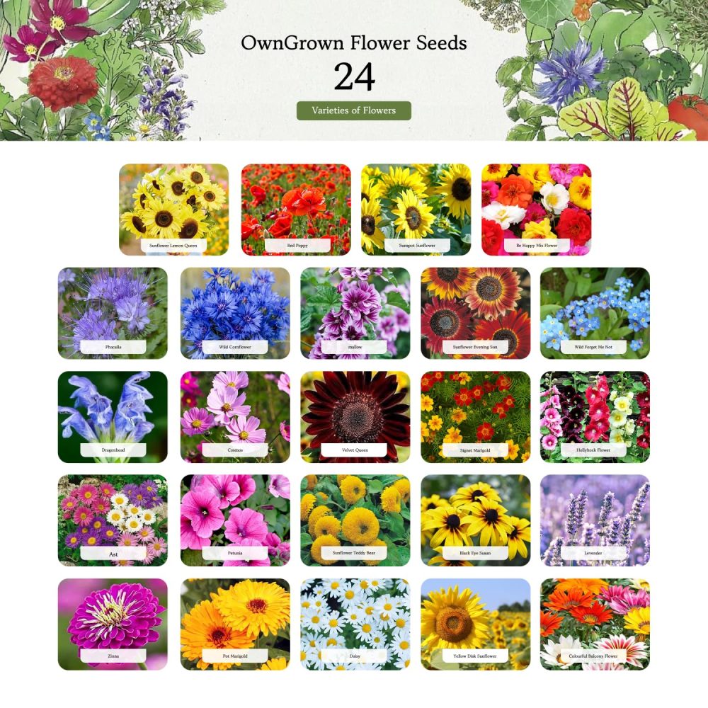 OwnGrown Flower Seeds Advent Calendar for 2024-24 Varieties of Wild Flower Plant Seeds DIY Kit - Garden Gift Decorations - Housewarming Gardening Gifts for Men and Women - Wildflower Organic Seeds - Image 9