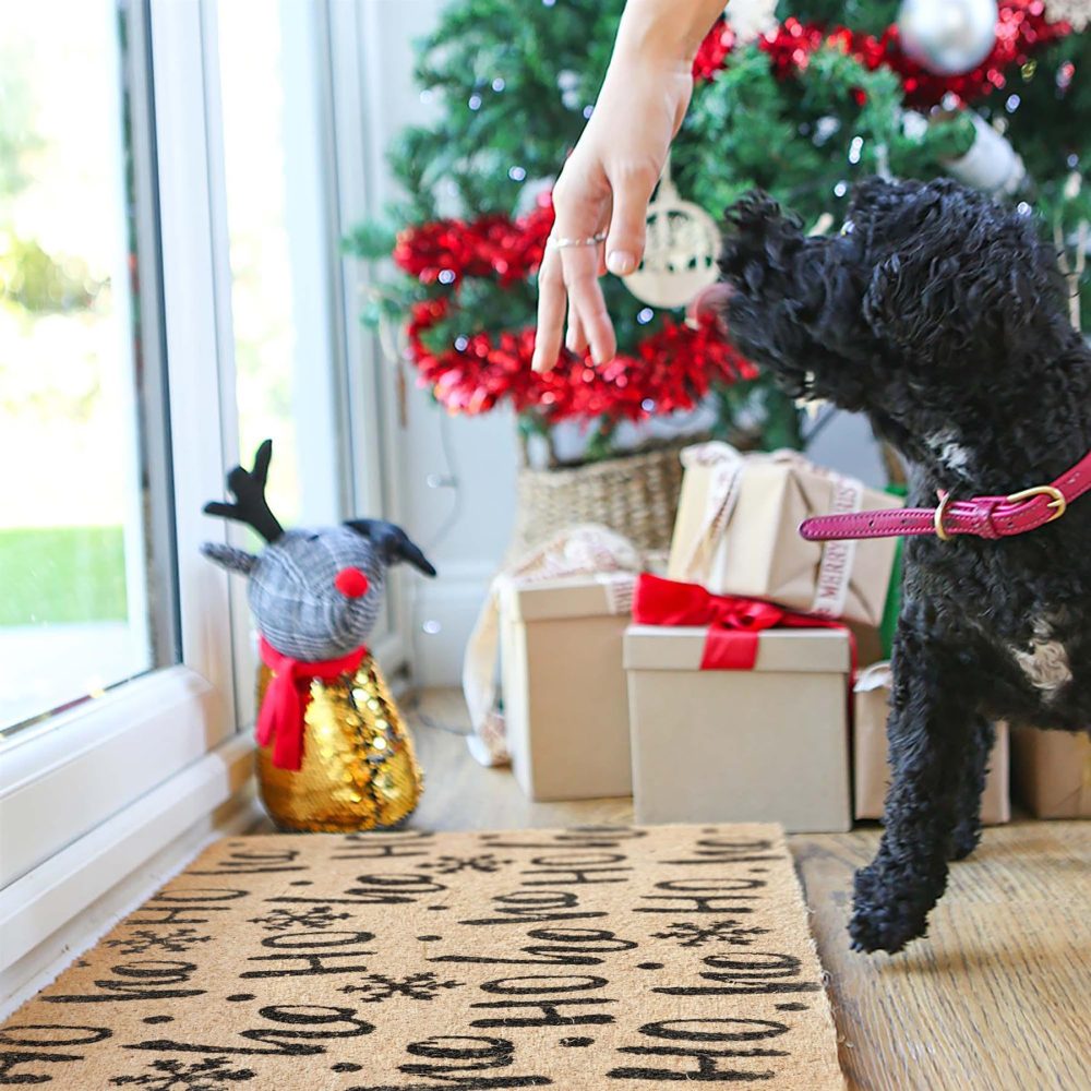 Nicola Spring Christmas Door Mat - 60 x 40cm - Ho Ho Ho - Pack of 1 - Indoor Outdoor Coir Doormat Xmas Decor Holiday Season Decorative Front Scraper Rug Floor Mat - Image 4