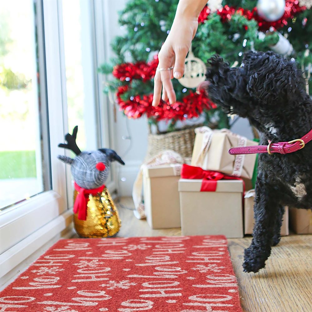 Nicola Spring Christmas Door Mat - 60 x 40cm - Ho Ho Ho Red - Pack of 1 - Indoor Outdoor Coir Doormat Xmas Decor Holiday Season Decorative Front Scraper Rug Floor Mat - Image 4