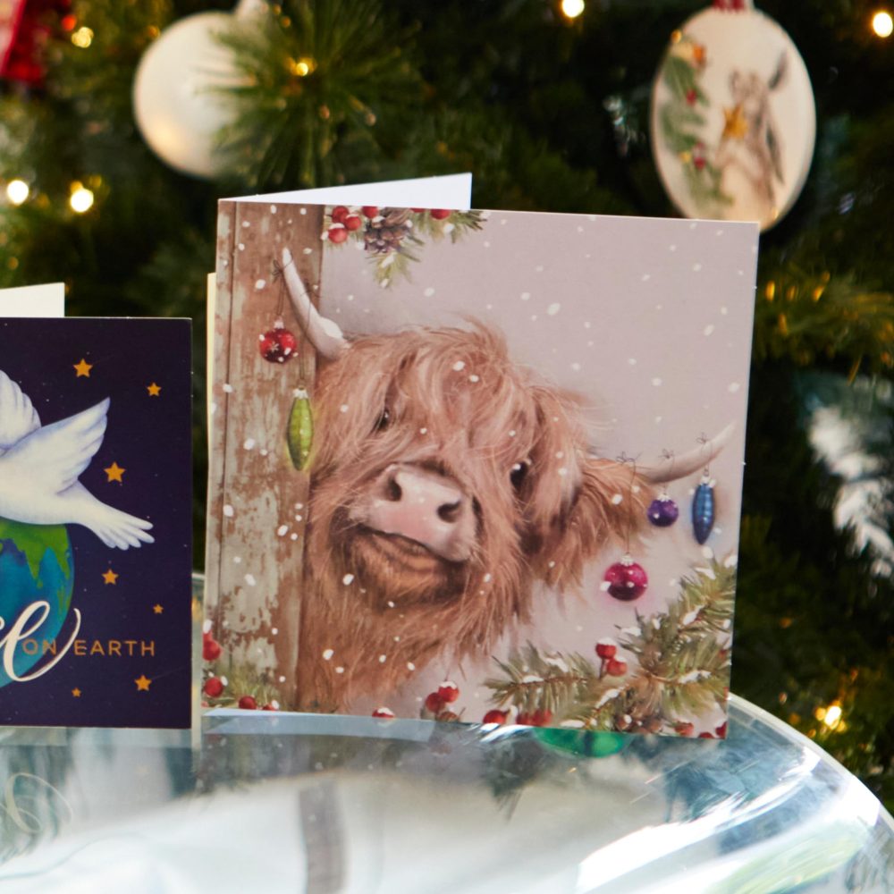 Cancer Research UK Box of 24 Charity Christmas Cards - 2 Designs - Highland Cow & Donkey - Image 3