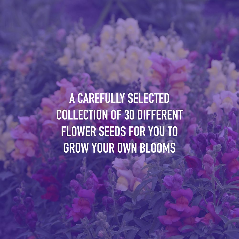 Scott&Co. Flower Seed Variety Pack - 30 Different Varieties of Flower Seeds to Grow Your Own. Butterfly and Bee Attracting, Grow Indoor and Outdoor. Christmas Gifts for Women and Men - Image 4