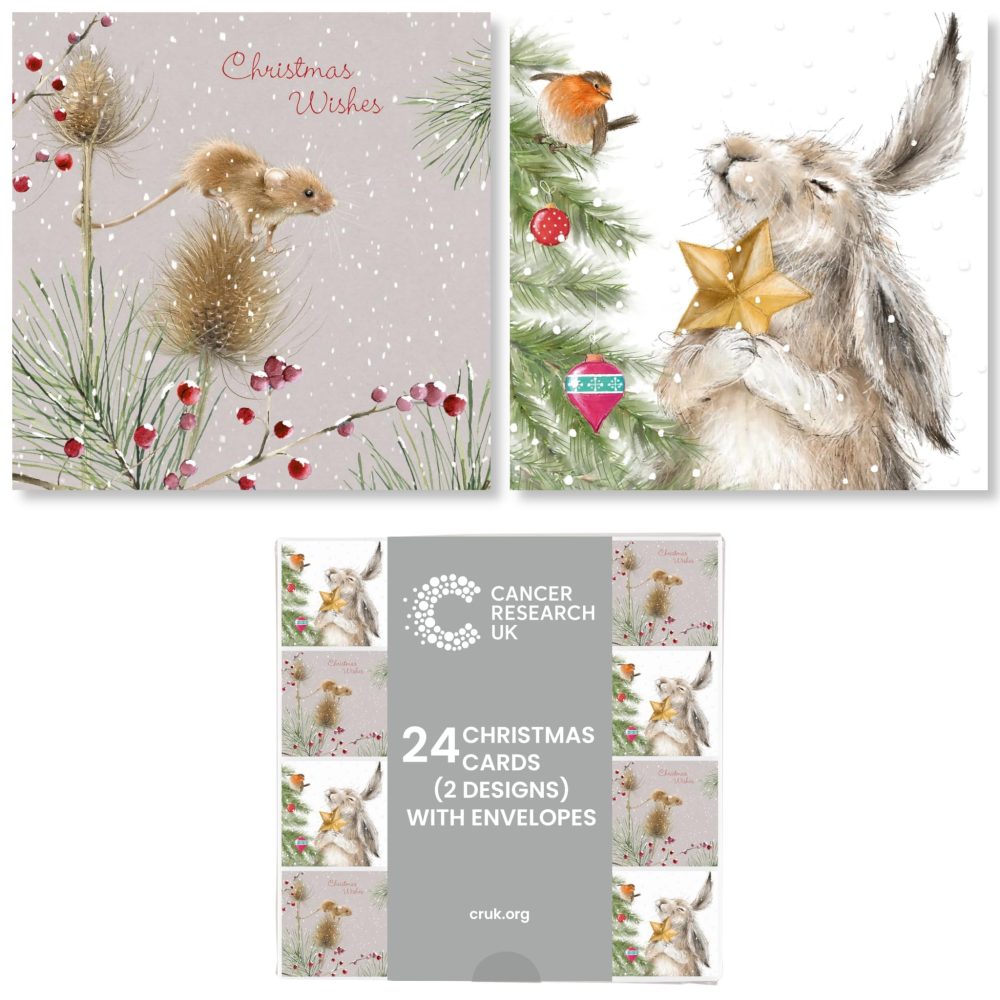 Cancer Research UK Box of 24 Charity Christmas Cards - 2 Designs - Hettie Hare & Timmy Mouse