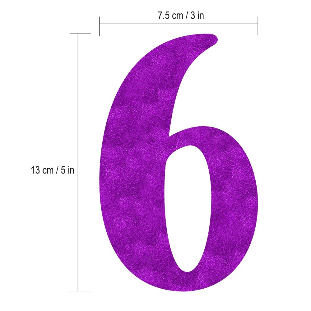 60 Never Looked So Good Purple Glitter Banner - 60th Birthday Decorations and Supplies - Image 3