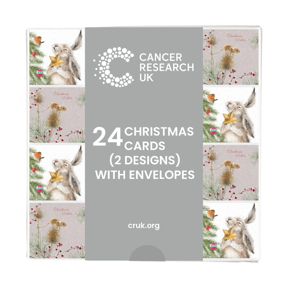 Cancer Research UK Box of 24 Charity Christmas Cards - 2 Designs - Hettie Hare & Timmy Mouse - Image 2