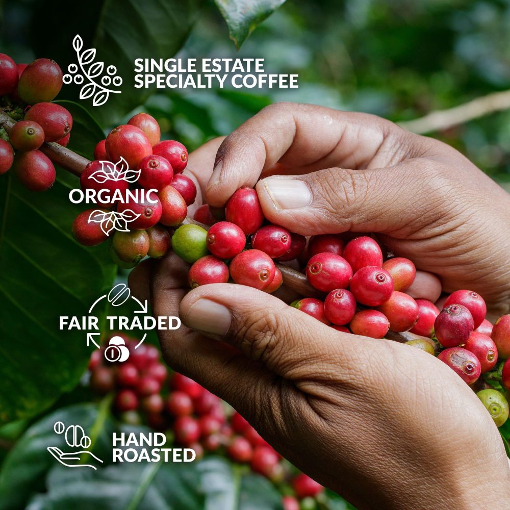 Coffee Advent Calendar 2024 for Men & Women - Experience 25 Finest Coffees of The World | Christmas Calendar for Adults | Christmas Coffee Gifts for Men & Women with Unique Coffeebrewers - Image 3