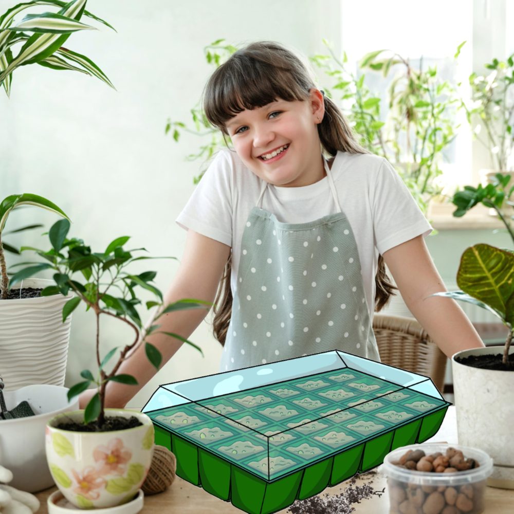 Seeds Advent Calendar 2024 for Garden Gifts - 24 Days Christmas Countdown Advent Calendar with Flower, Vegetable, Herbs Seeds & Greenhouse Grow Kit Birthday Gifts. - Image 4