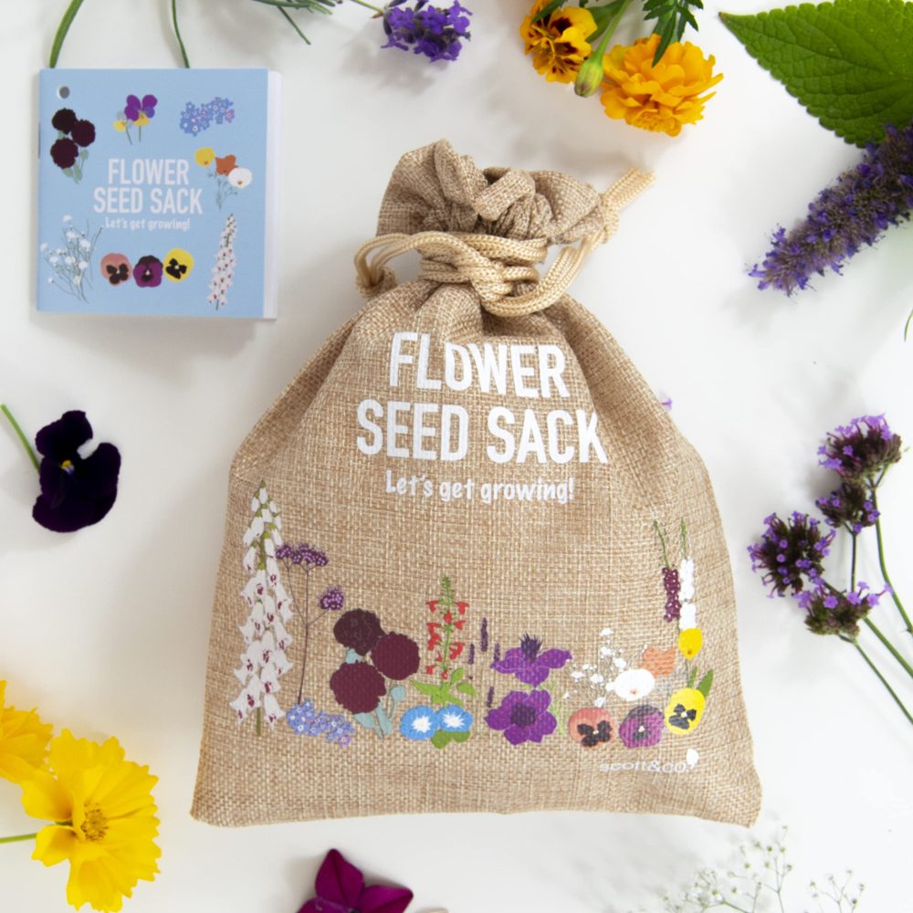 Scott&Co. Flower Seed Variety Pack - 30 Different Varieties of Flower Seeds to Grow Your Own. Butterfly and Bee Attracting, Grow Indoor and Outdoor. Christmas Gifts for Women and Men - Image 5