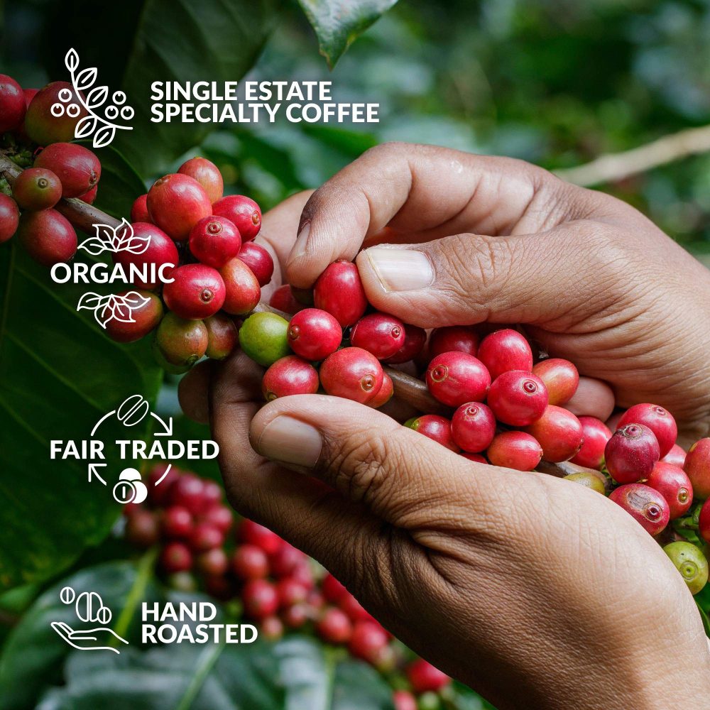 Coffee Advent Calendar 2024 for Men & Women - Experience 25 Finest Coffees of The World | Christmas Calendar for Adults | Christmas Coffee Gifts for Men & Women with Unique Coffeebrewers - Image 3