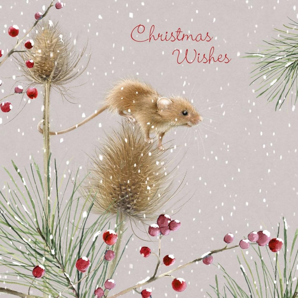 Cancer Research UK Box of 24 Charity Christmas Cards - 2 Designs - Hettie Hare & Timmy Mouse - Image 5