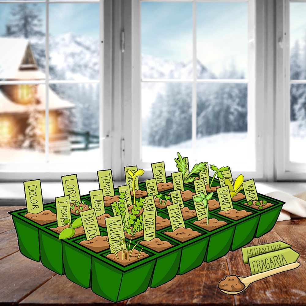 Seeds Advent Calendar 2024 for Garden Gifts - 24 Days Christmas Countdown Advent Calendar with Flower, Vegetable, Herbs Seeds & Greenhouse Grow Kit Birthday Gifts. - Image 2