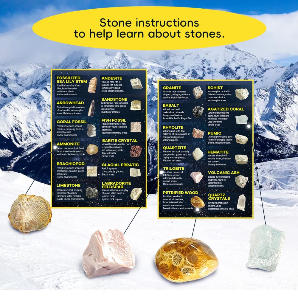 SHCHME Advent Calendar 2024, Rock and Fossils Minerals Collection Advent Calendar 24 Gemstone for Christmas Countdown Calender for Kids - Image 3