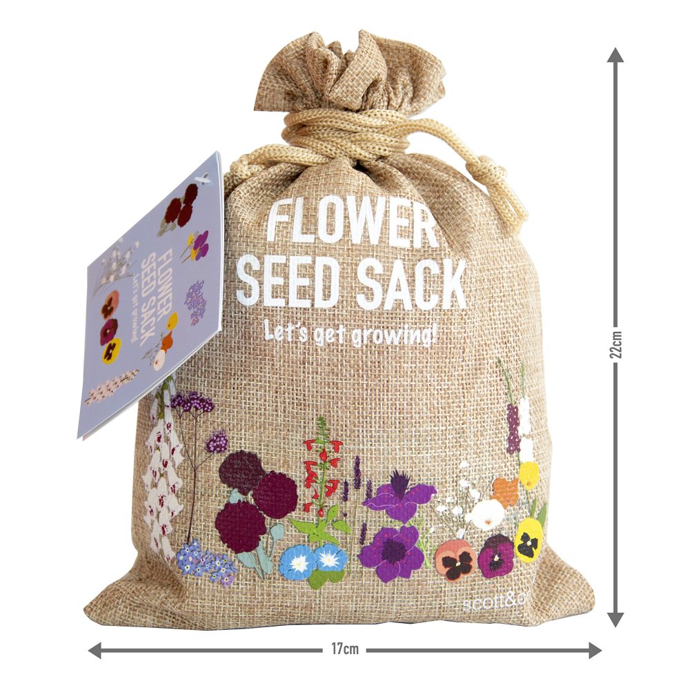 Scott&Co. Flower Seed Variety Pack - 30 Different Varieties of Flower Seeds to Grow Your Own. Butterfly and Bee Attracting, Grow Indoor and Outdoor. Christmas Gifts for Women and Men - Image 9