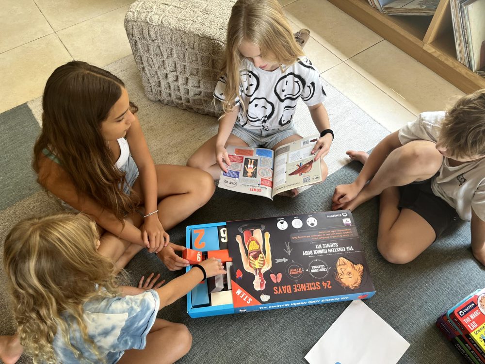 Einstein Human Body Science Kit Advent Calendar: 24 days of S.T.E.M science experiments & activities all about the human body. Includes 12’ Human Model with 16 detachable organs and a printed guide - Image 5