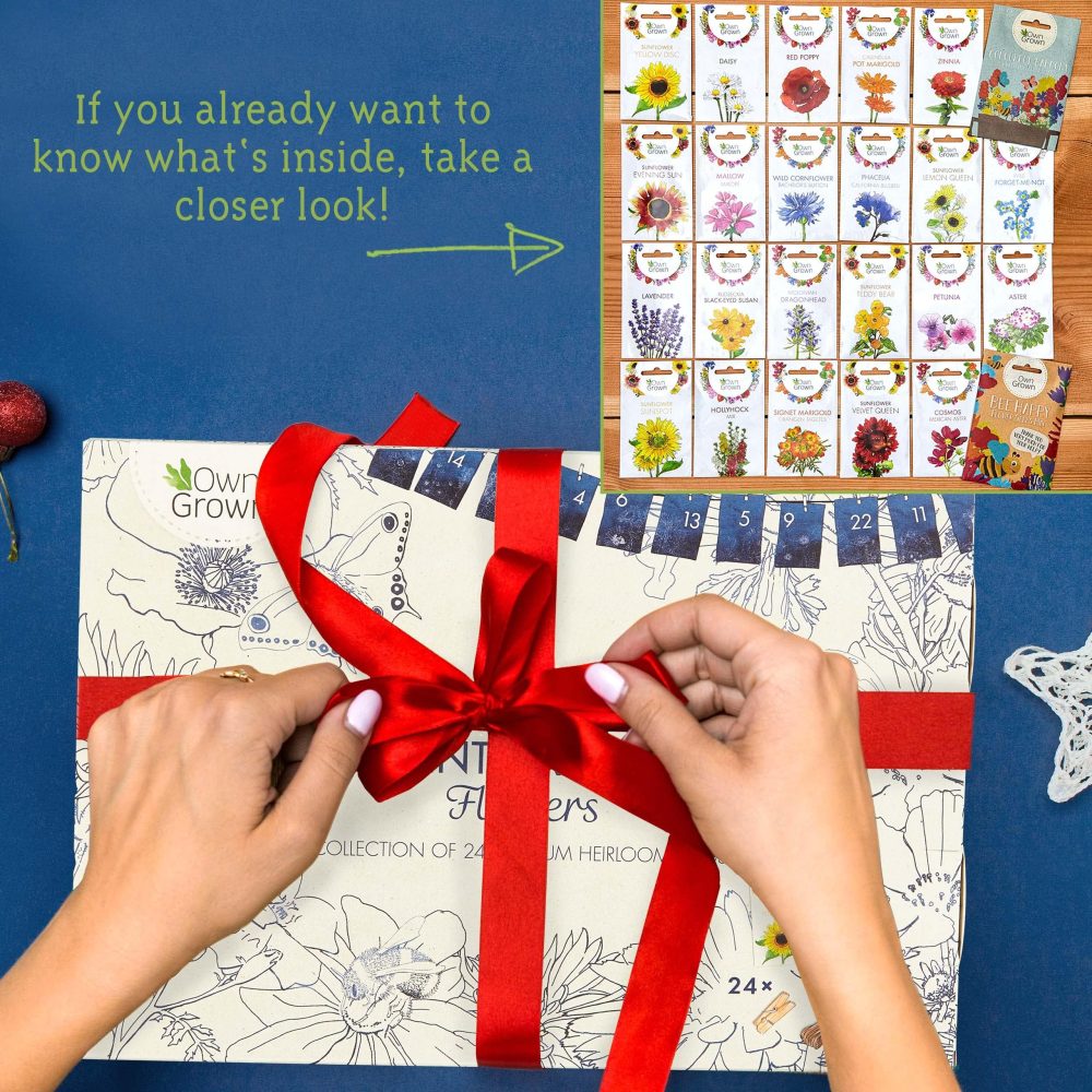 OwnGrown Flower Seeds Advent Calendar for 2024-24 Varieties of Wild Flower Plant Seeds DIY Kit - Garden Gift Decorations - Housewarming Gardening Gifts for Men and Women - Wildflower Organic Seeds - Image 2