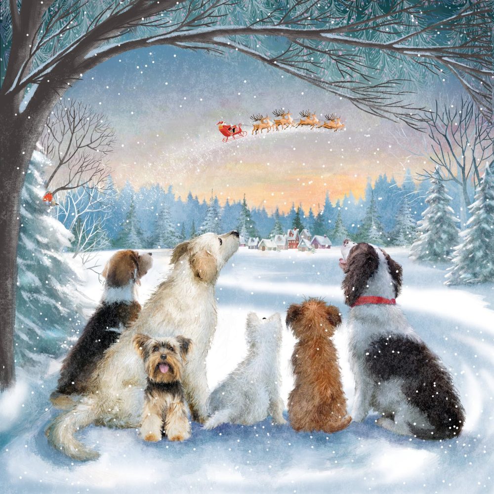 Cancer Research UK Box of 24 Charity Christmas Cards - 2 Designs - Dogs & Cats - Image 4