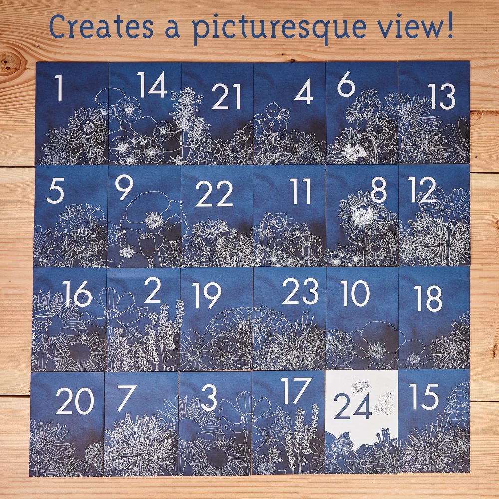 OwnGrown Flower Seeds Advent Calendar for 2024-24 Varieties of Wild Flower Plant Seeds DIY Kit - Garden Gift Decorations - Housewarming Gardening Gifts for Men and Women - Wildflower Organic Seeds - Image 5