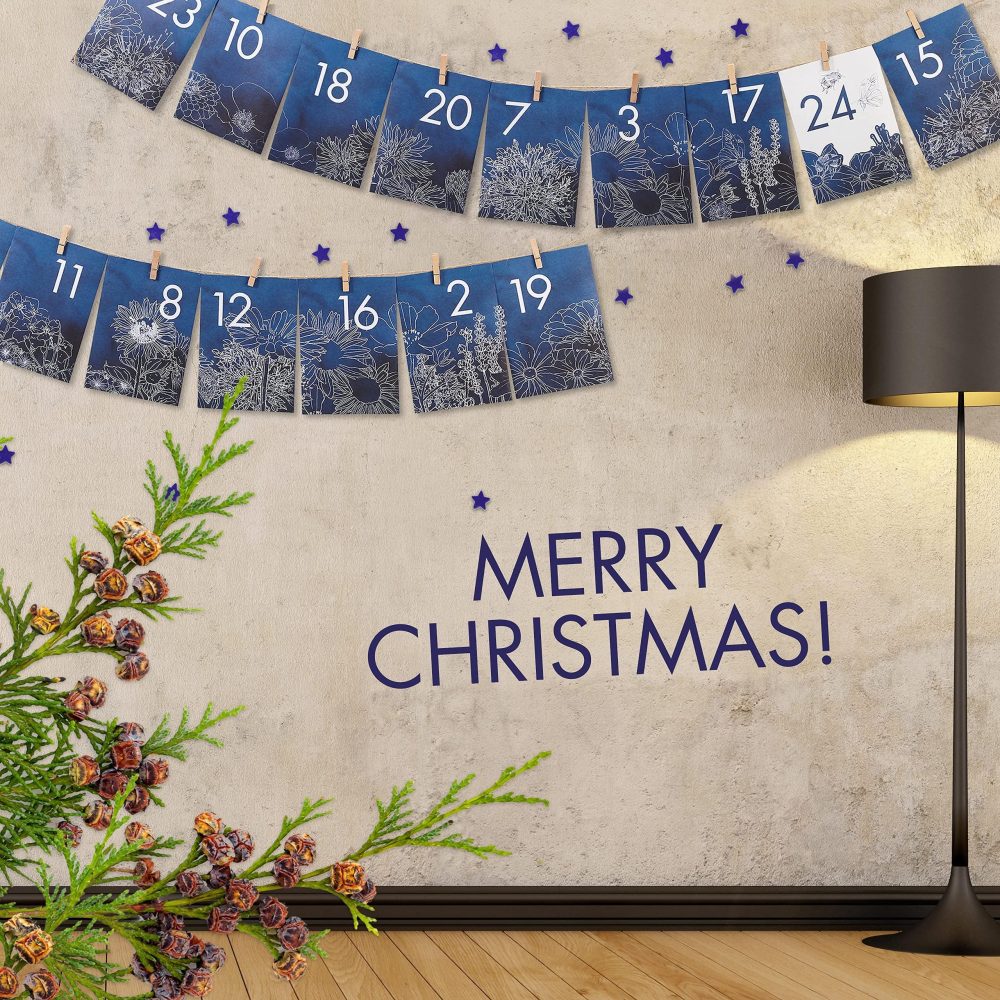 OwnGrown Flower Seeds Advent Calendar for 2024-24 Varieties of Wild Flower Plant Seeds DIY Kit - Garden Gift Decorations - Housewarming Gardening Gifts for Men and Women - Wildflower Organic Seeds - Image 3