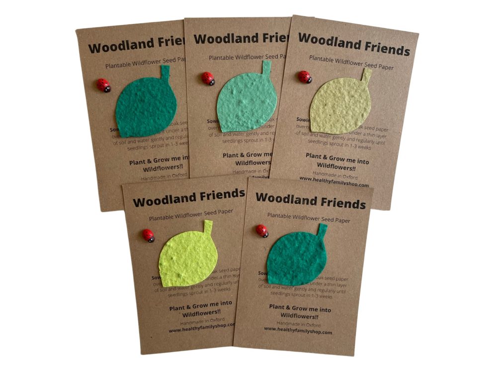 Healthy Family Eco- Friendly Party Bag Fillers. Plastic Free- Party Favours. Seeded Paper Shapes. Plantable seed paper Wildflowers. Craft Paper with Wildflower Seed Mix (Woodland Friends)