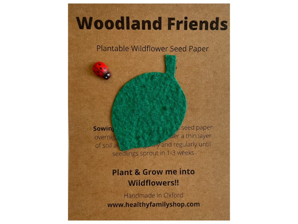 Healthy Family Eco- Friendly Party Bag Fillers. Plastic Free- Party Favours. Seeded Paper Shapes. Plantable seed paper Wildflowers. Craft Paper with Wildflower Seed Mix (Woodland Friends) - Image 4