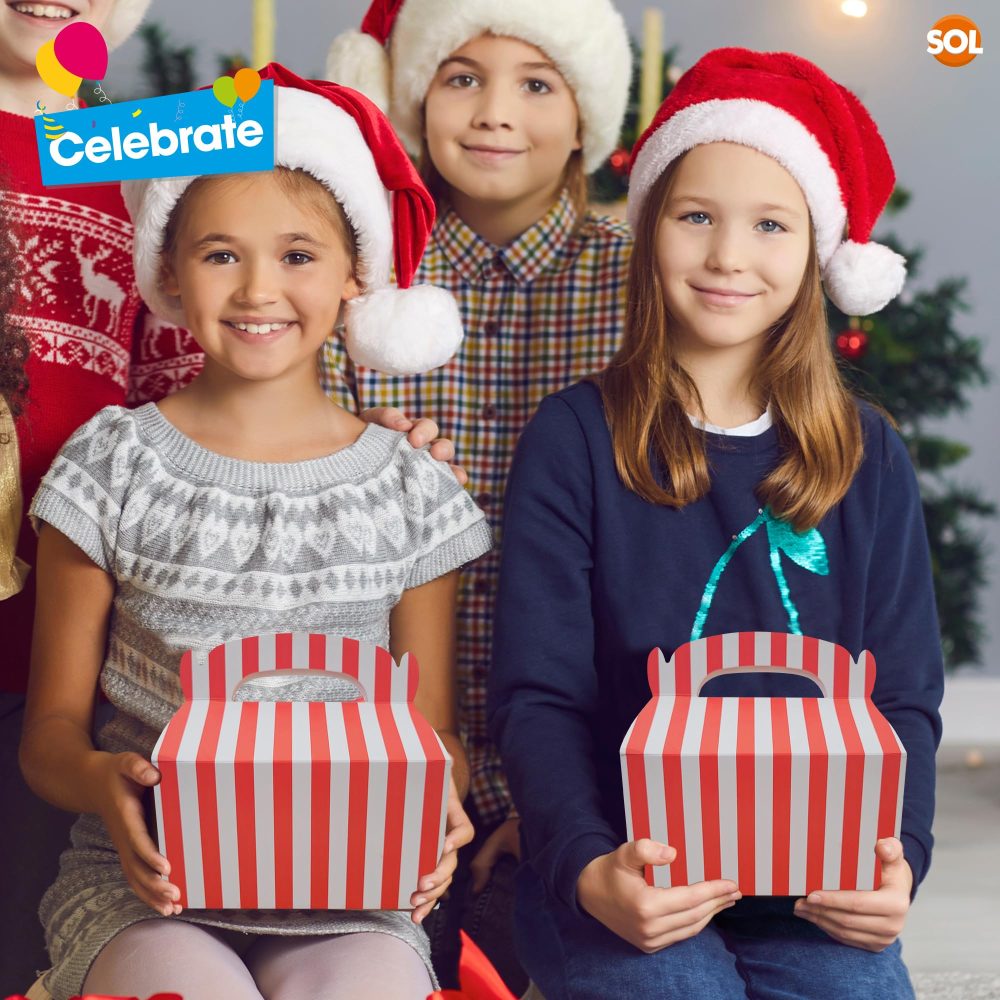 20pk Red & White Striped Birthday Party Boxes for Kids Party Food | Cardboard Lunch Boxes for Kids Party Food Boxes Party | Party Food Boxes for Kids Party Boxes | Party Lunch Boxes | Kids Party Box - Image 4